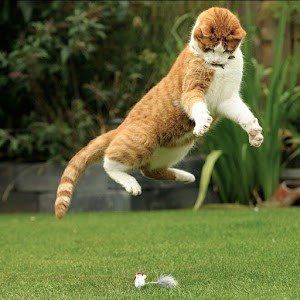 Avatar of Kyenta Ghyselbrecht