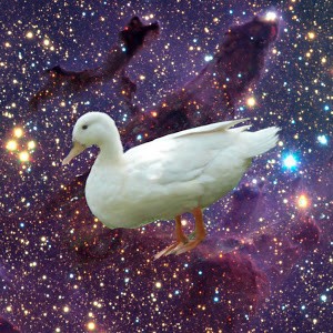 Avatar of acid rebel