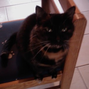 Avatar of Jo&euml;l Versin