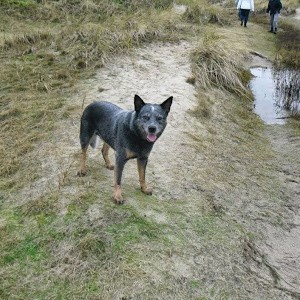 Avatar of maaike rijkeboer