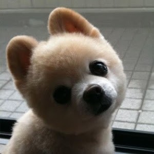 Avatar van ์Naratip Songchang