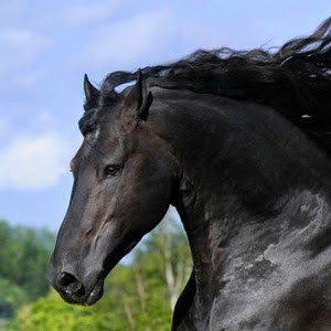 Avatar of Marije Van Loon