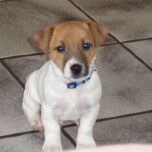 Avatar of X_anneliesjuh_X