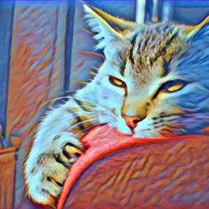 Avatar of kerstmeisje2015