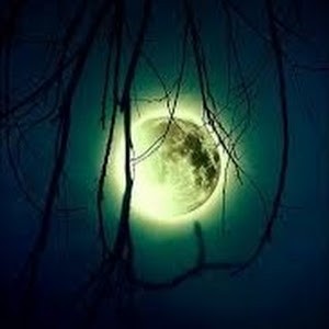 Avatar van MysticMoon