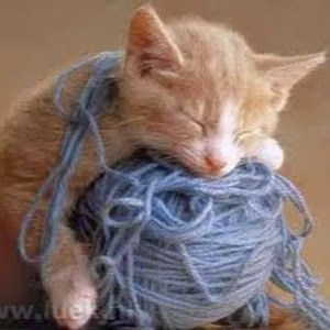 Avatar of kaizersose47