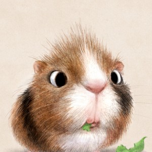 Avatar van Little Lady