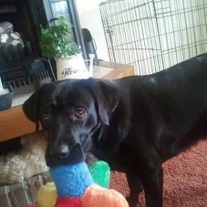 Avatar van Plantenbak83