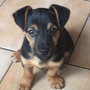 Avatar of Rien landeweerd6