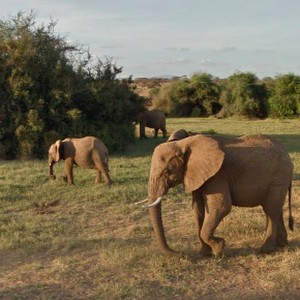 Avatar of reneeaantjes