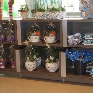 Avatar van permoteen