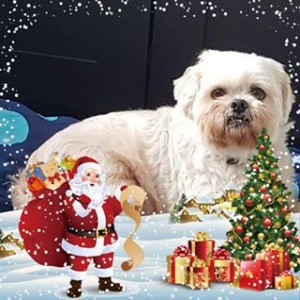 Avatar of Galiart@planet.nl