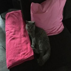 Avatar van Chantal m