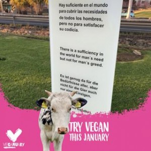 Avatar van Jezzzhoney