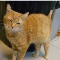 Avatar van 2 Evil Eyes