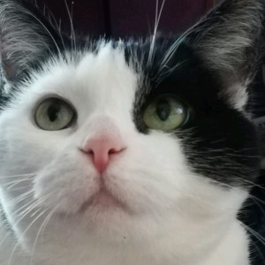 Avatar of LoveMovies38