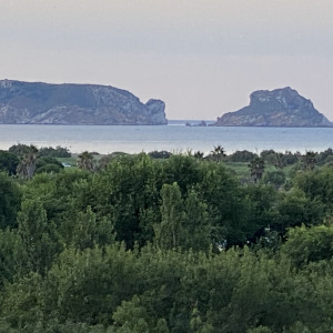 Avatar van Mister Grant