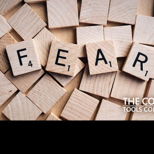 Avatar van FearFactor