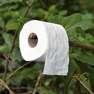 Avatar van Campingnudist