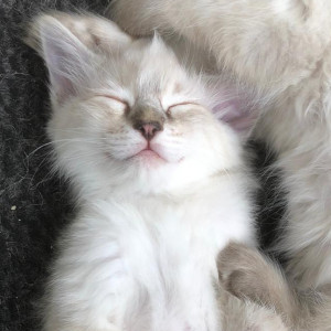 Avatar van Shannoon94