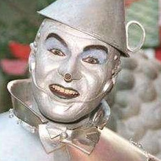 Avatar van Tin man
