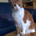 Avatar van Monique-1974