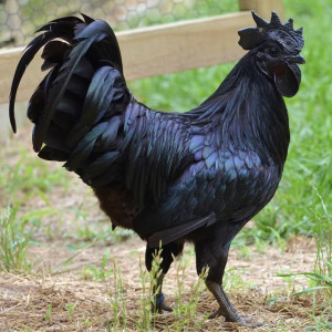 Avatar van MovieVoyeur81