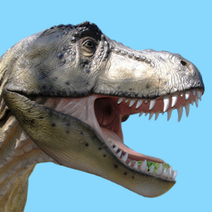 Gebruikers afbeelding