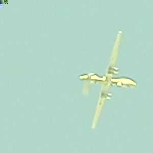 Avatar of Hamilton116