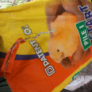 Avatar van Mihailo4333