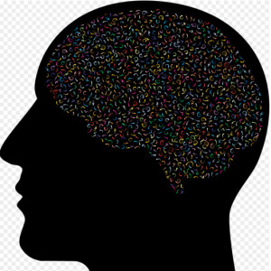 Gebruikers afbeelding