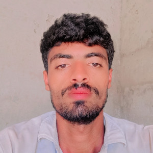 Avatar of Alizafarigo