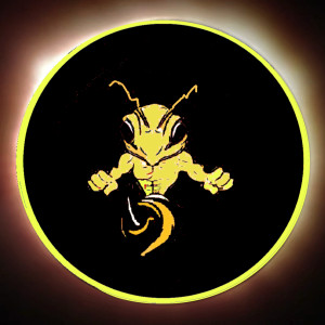Avatar of M.C. Alpha Bee