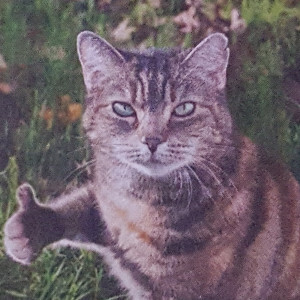 Avatar of Carmenhammer77