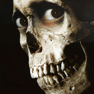 Avatar van devil1973