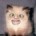 avatar van DIode