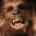 avatar van Chewbacca