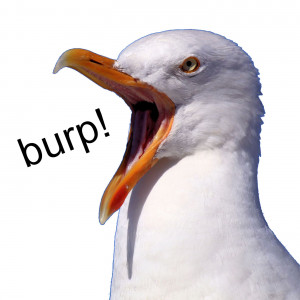 Avatar van Tetterovic