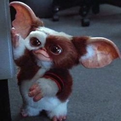 Avatar van Lisa_Cooper91