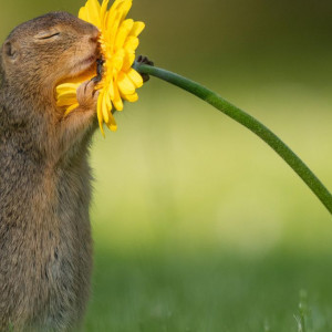 Avatar van Andre1970