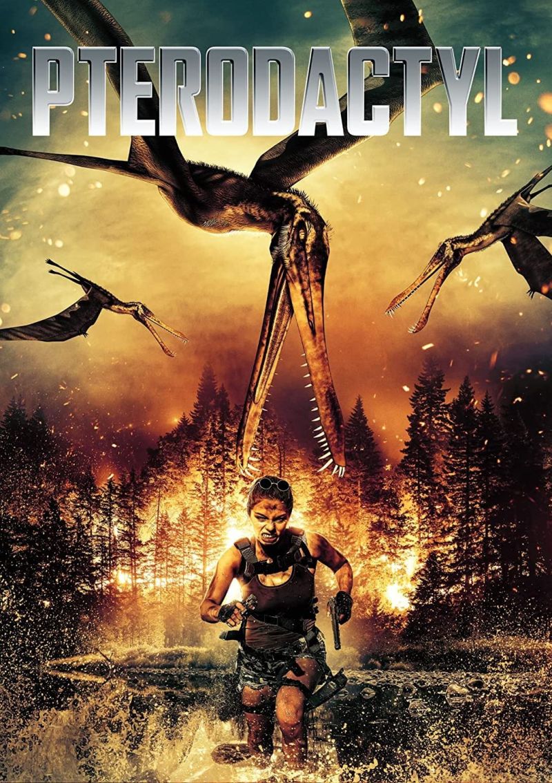 Film Cover