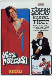 Film cover