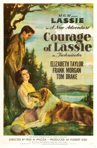 Film Cover