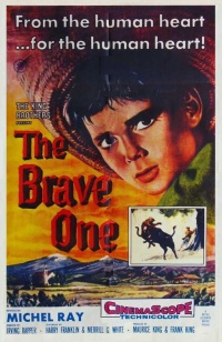 Film cover