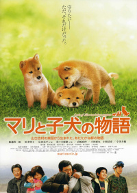 Film cover