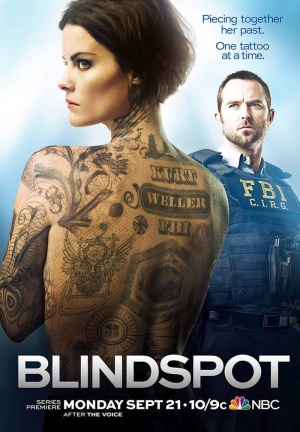 Blindspot - Seizoen 1