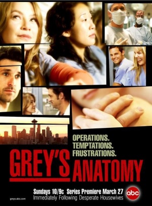 Grey's Anatomy - Seizoen 1
