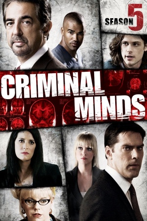 Criminal Minds - Seizoen 5