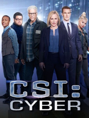 CSI: Cyber - Seizoen 2
