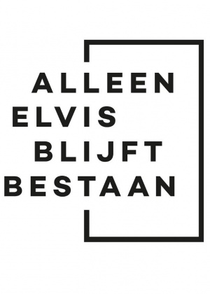 Alleen Elvis Blijft Bestaan - Seizoen 8